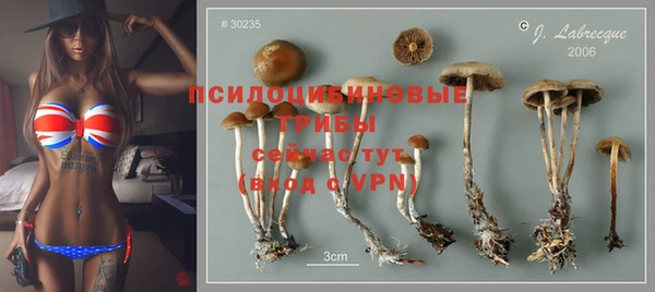 шишки Бугульма