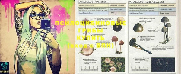 шишки Бугульма