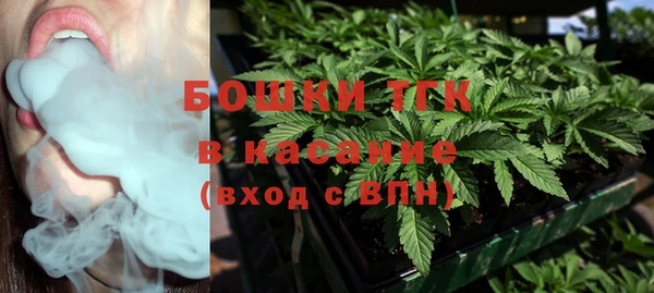 шишки Бугульма